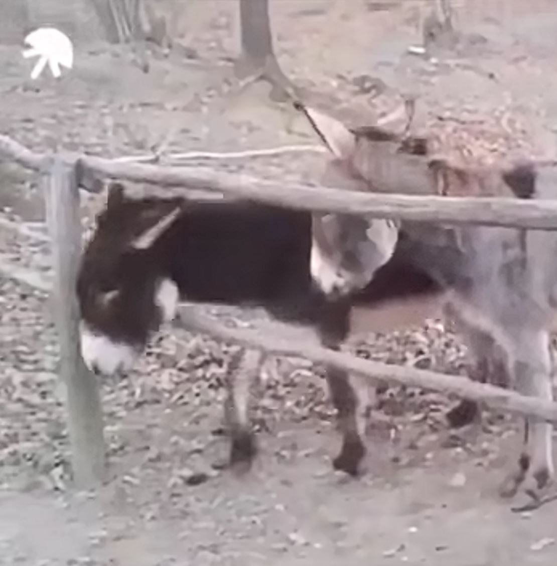 Ka�d� partia m� jedn�ho m�dreho